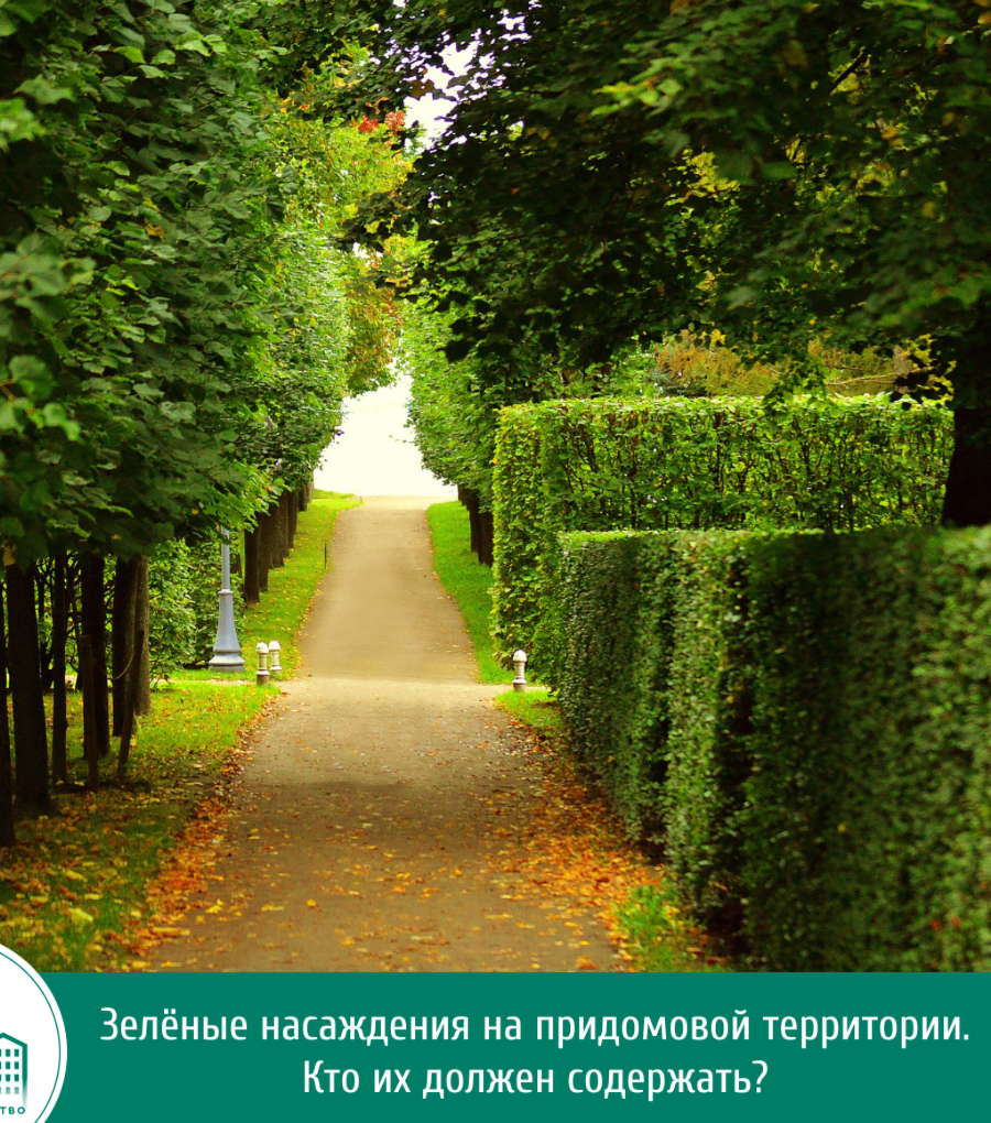 Портрет человека